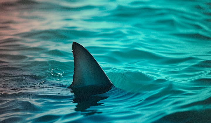 REMCOS RAT analysieren: Eine eingehende Analyse einer weit verbreiteten 2024 Malware, Teil Zwei