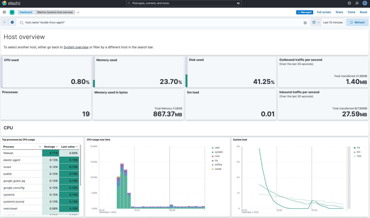 The System metrics host overview showing CPU usage, memory usage, and other visualizations