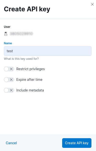 API key name