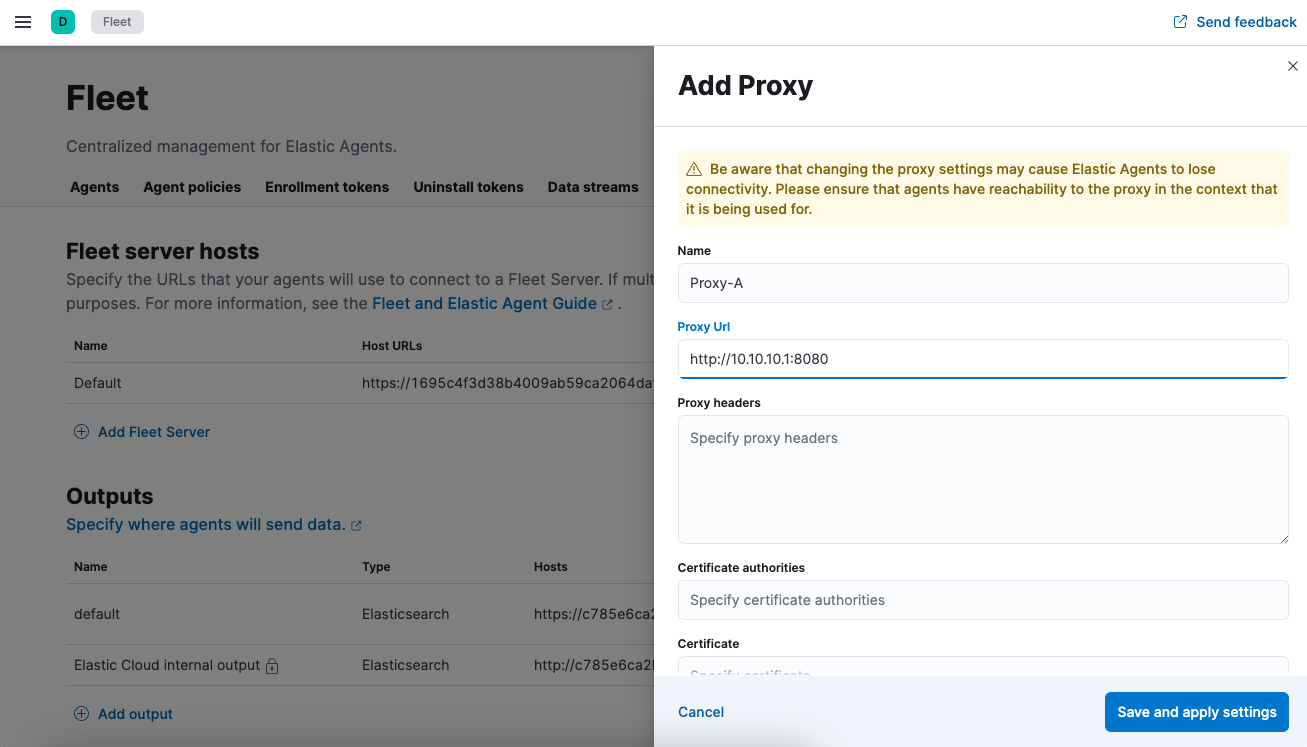 Screen capture of the Edit Proxy UI in Fleet