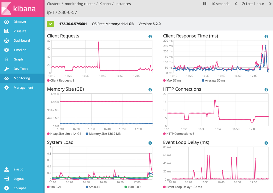 Kibana Instance View