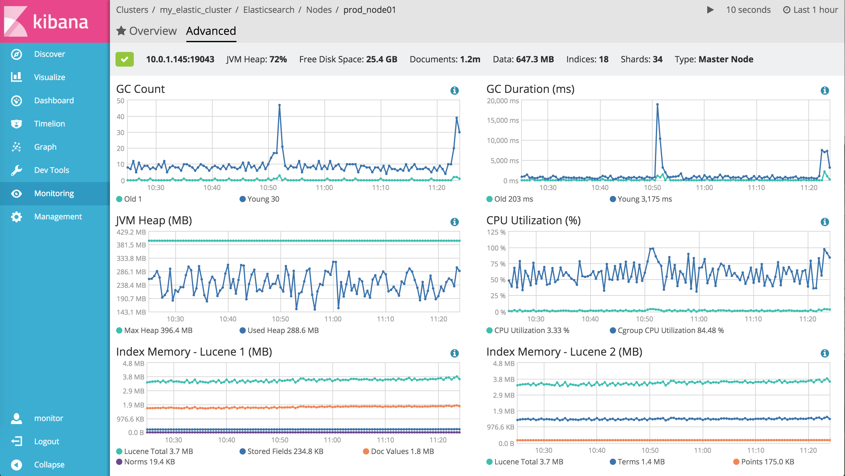 Elasticsearch Node Advanced