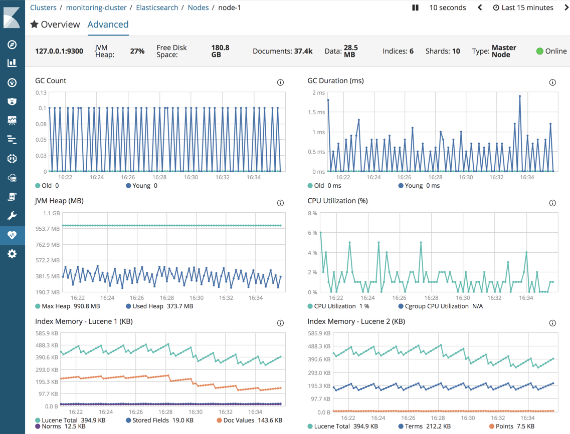 Elasticsearch Node Advanced