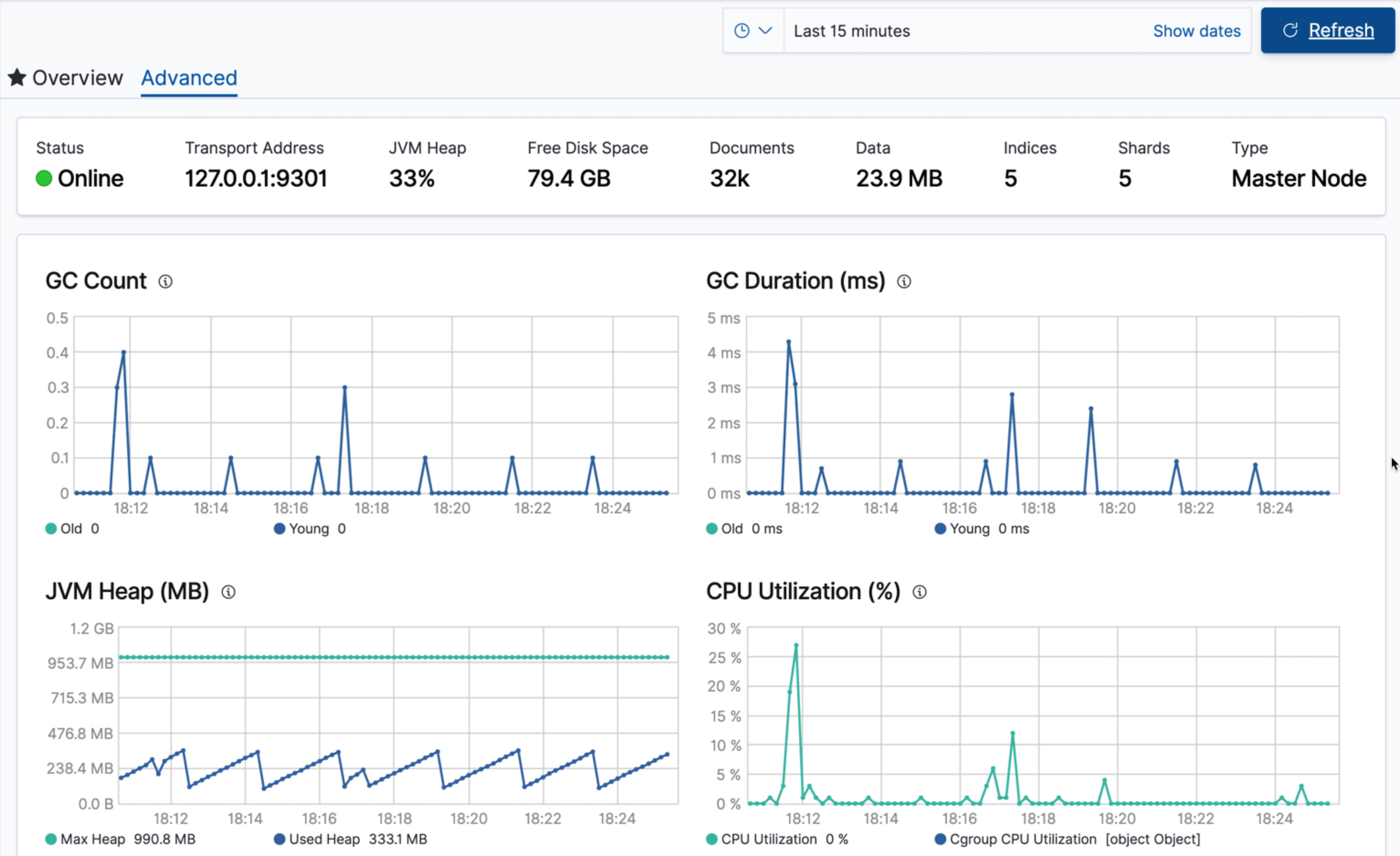 Elasticsearch Node Advanced