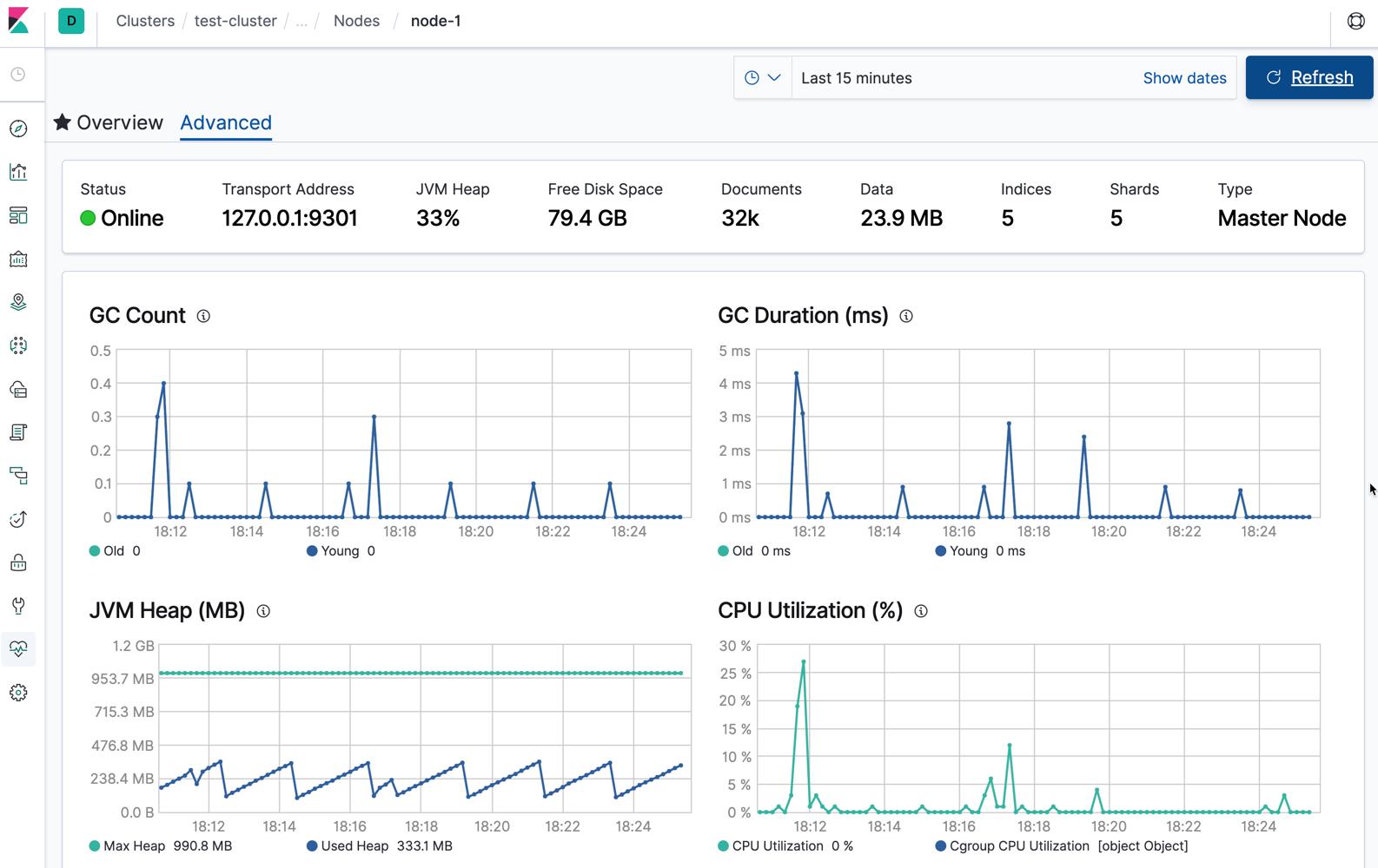 Elasticsearch Node Advanced