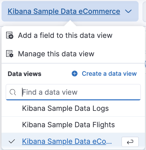 How to set the data view in Discover