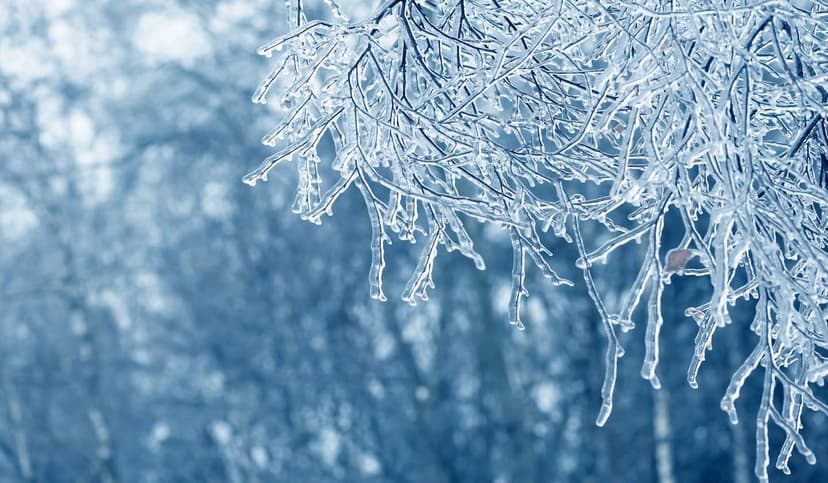 Descongelamento do permafrost do ICEDID Resumo