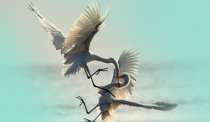 Atualização do conjunto de intrusão REF2924 e campanhas relacionadas