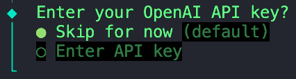 Selecting skip for now for the OpenAI key