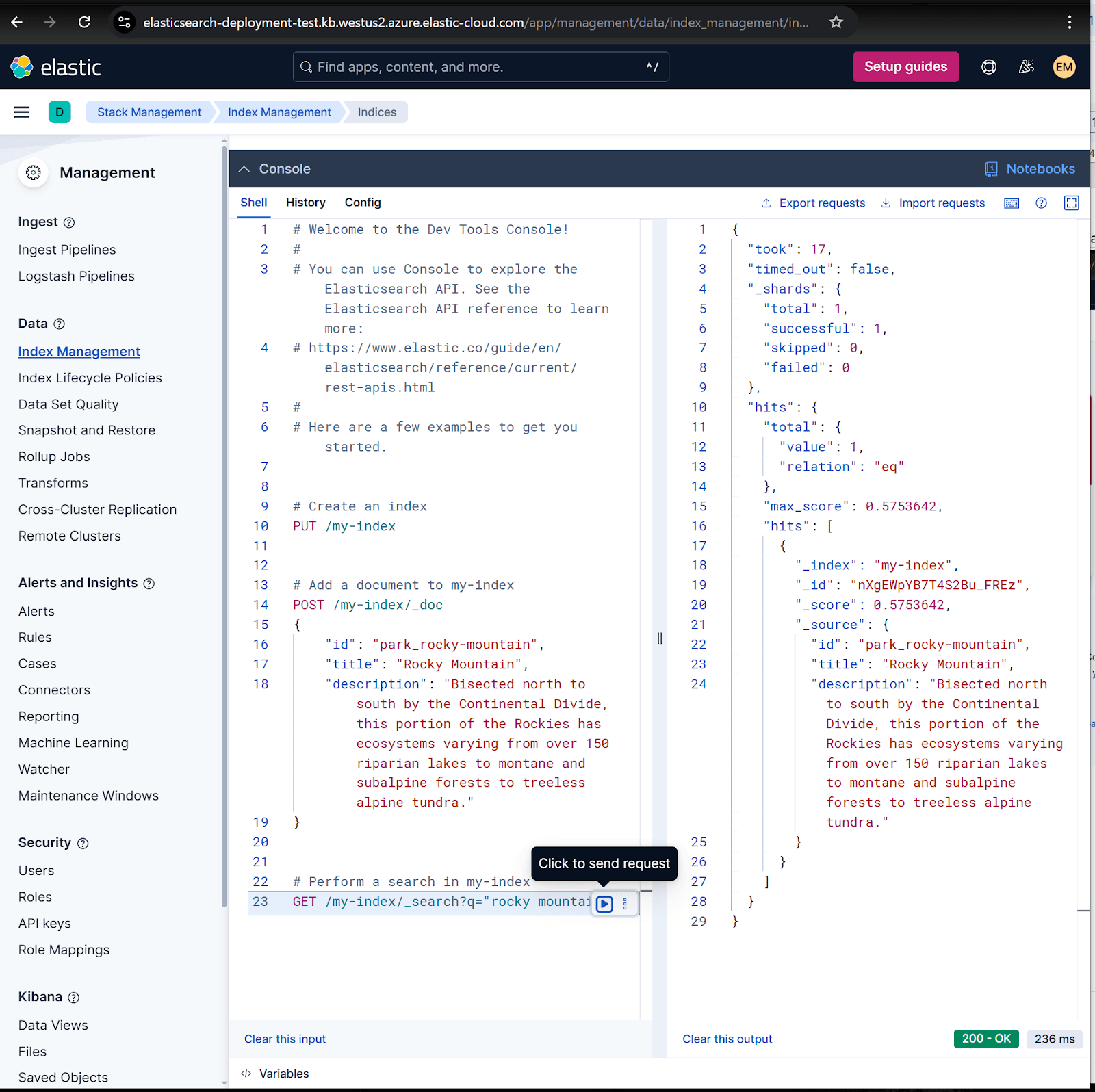 What the deployment of Elastic Cloud via Azure marketplace looks like with coding.