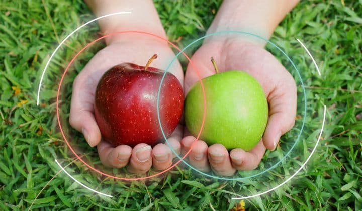 Elasticsearch shards and replicas: A practical guide