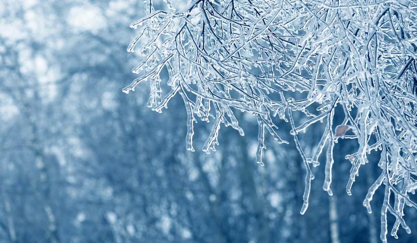 Thawing the permafrost of ICEDID Summary